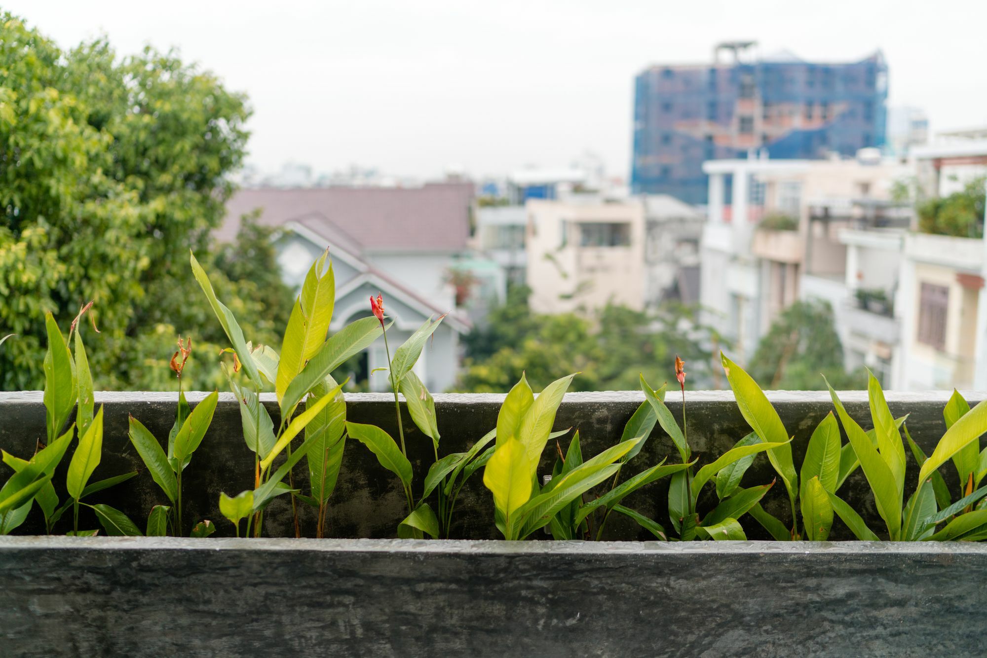 Iam Saigon Homestay Cidade de Ho Chi Minh Exterior foto